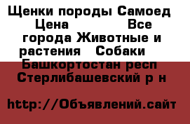 Щенки породы Самоед › Цена ­ 20 000 - Все города Животные и растения » Собаки   . Башкортостан респ.,Стерлибашевский р-н